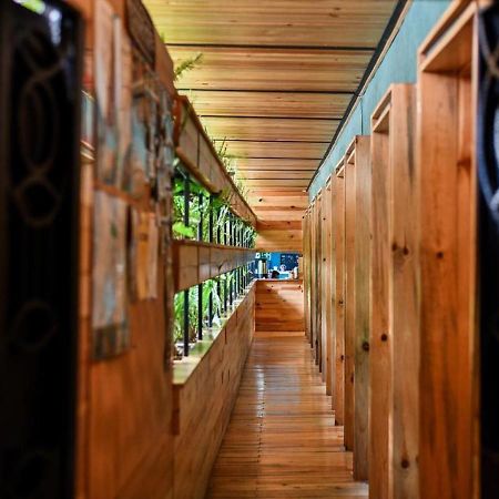Mexico Hostel מראה חיצוני תמונה